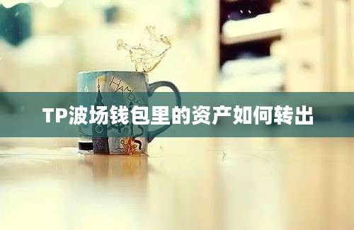 TP波场钱包里的资产如何转出