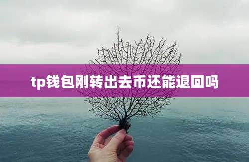 tp钱包刚转出去币还能退回吗