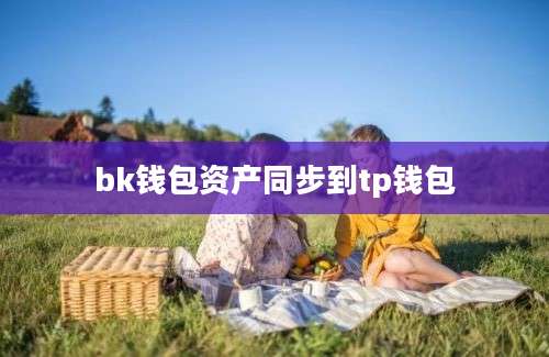 bk钱包资产同步到tp钱包