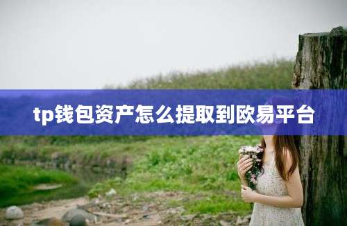 tp钱包资产怎么提取到欧易平台