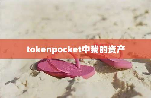 tokenpocket中我的资产