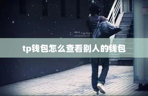 tp钱包怎么查看别人的钱包
