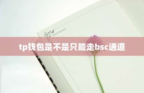 tp钱包是不是只能走bsc通道