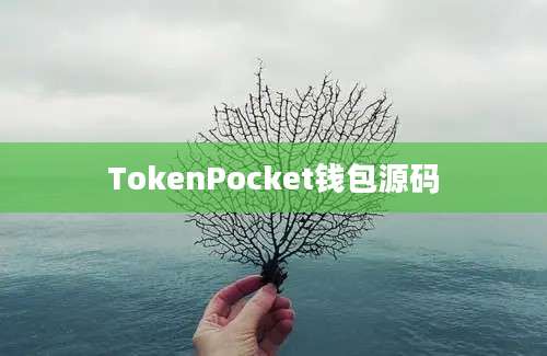 TokenPocket钱包源码