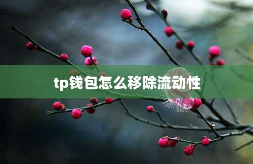tp钱包怎么移除流动性