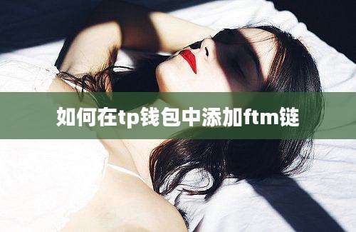 如何在tp钱包中添加ftm链
