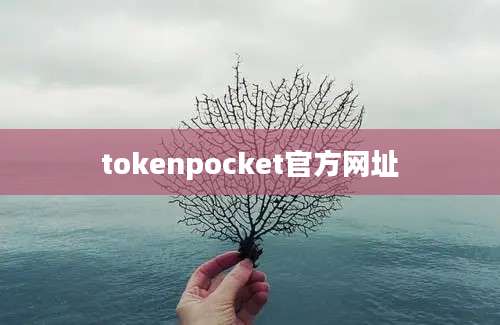 tokenpocket官方网址