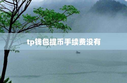 tp钱包提币手续费没有