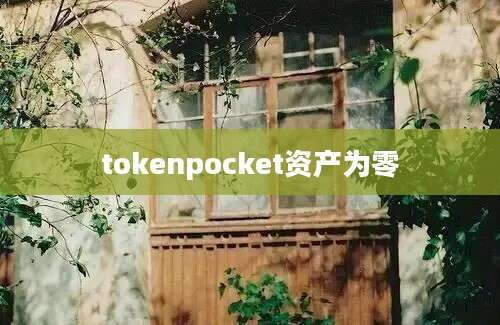 tokenpocket资产为零