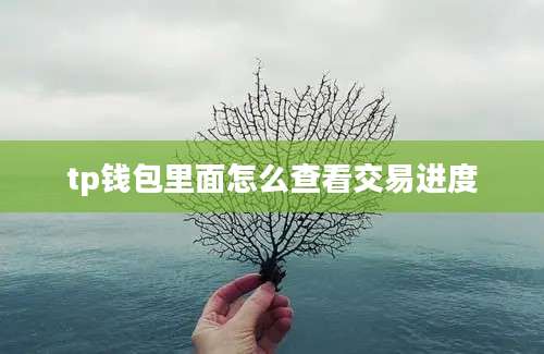 tp钱包里面怎么查看交易进度