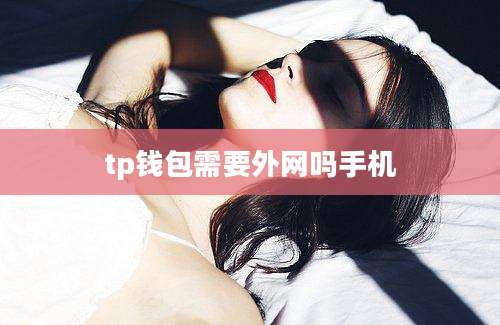 tp钱包需要外网吗手机