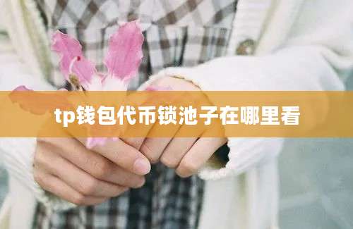 tp钱包代币锁池子在哪里看