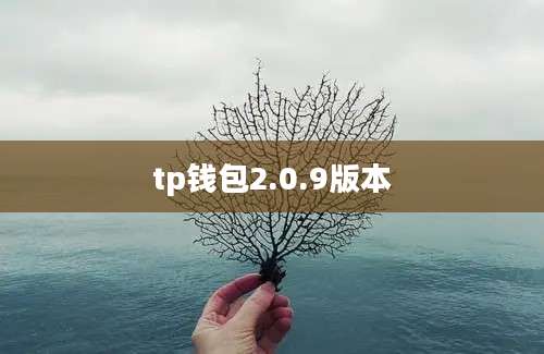 tp钱包2.0.9版本