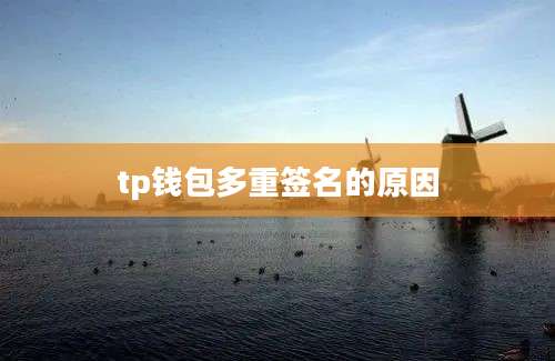 tp钱包多重签名的原因