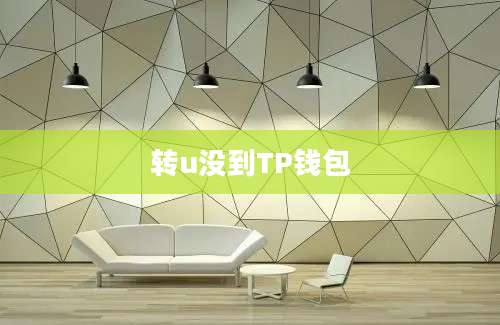 转u没到TP钱包