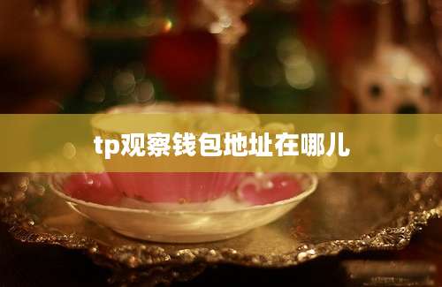 tp观察钱包地址在哪儿