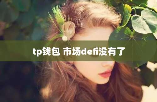 tp钱包 市场defi没有了