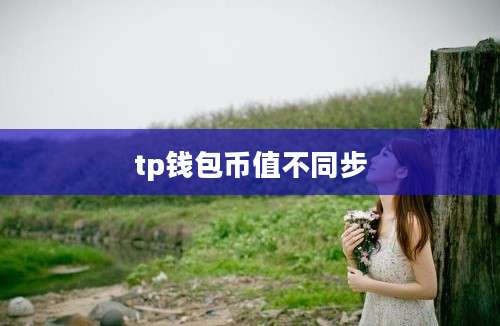 tp钱包币值不同步