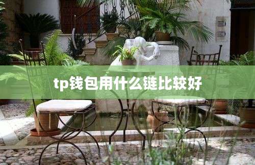 tp钱包用什么链比较好