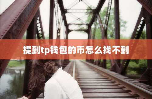 提到tp钱包的币怎么找不到