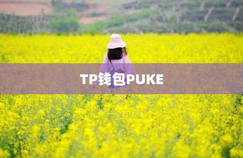 TP钱包PUKE