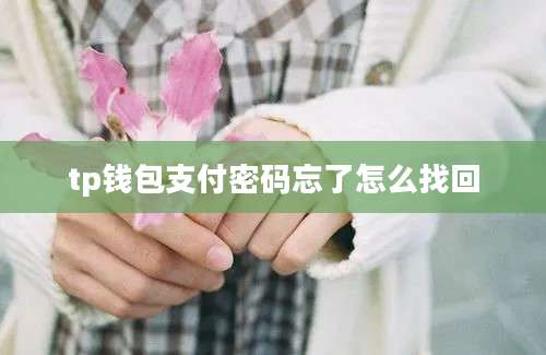tp钱包支付密码忘了怎么找回