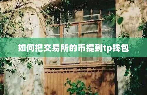 如何把交易所的币提到tp钱包