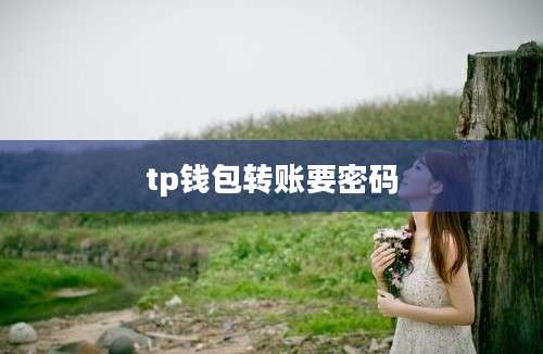tp钱包转账要密码