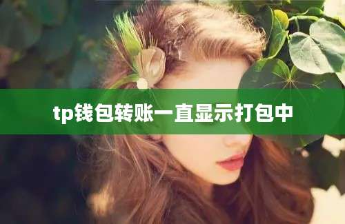 tp钱包转账一直显示打包中