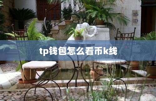 tp钱包怎么看币k线