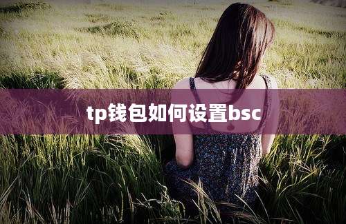tp钱包如何设置bsc