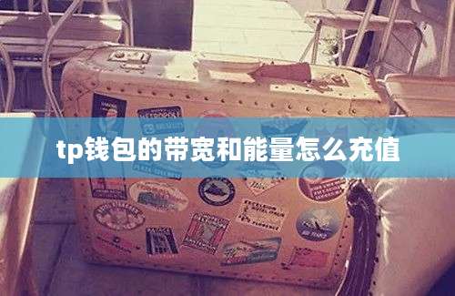 tp钱包的带宽和能量怎么充值