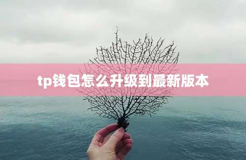 tp钱包怎么升级到最新版本