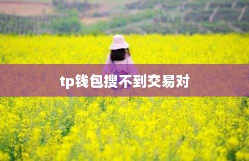 tp钱包搜不到交易对