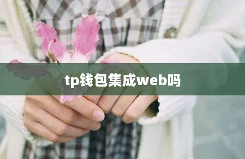 tp钱包集成web吗