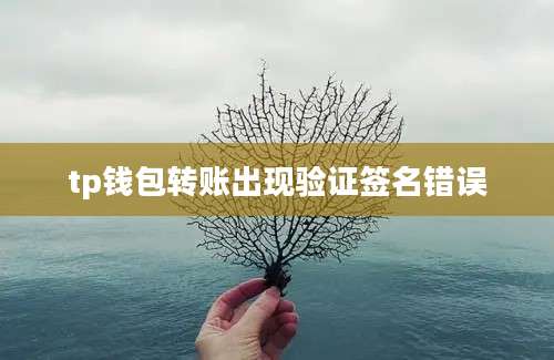 tp钱包转账出现验证签名错误