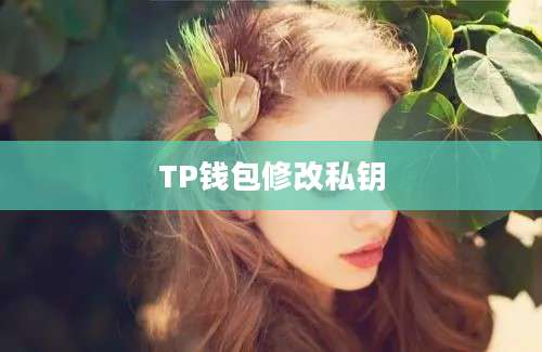 TP钱包修改私钥