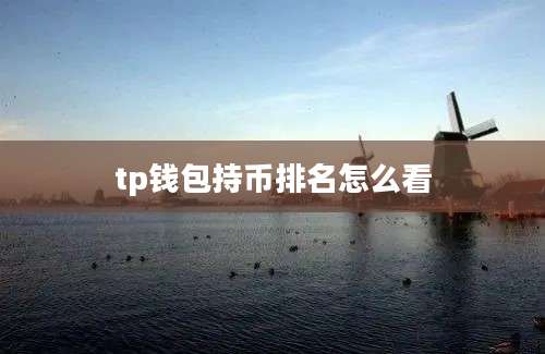 tp钱包持币排名怎么看