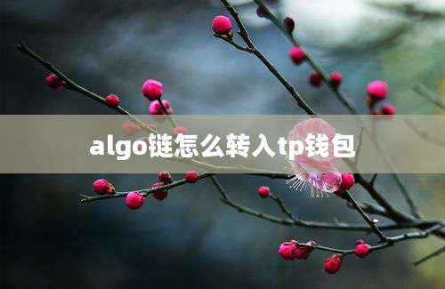 algo链怎么转入tp钱包