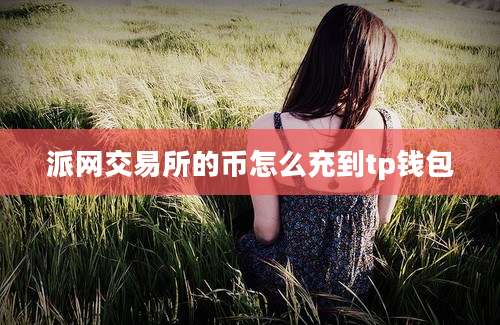 派网交易所的币怎么充到tp钱包