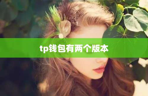 tp钱包有两个版本