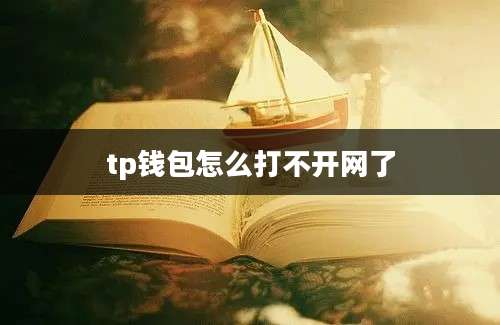 tp钱包怎么打不开网了