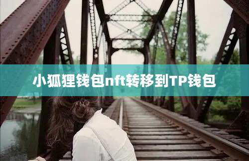 小狐狸钱包nft转移到TP钱包