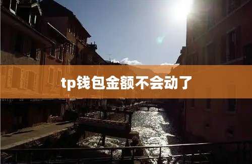 tp钱包金额不会动了
