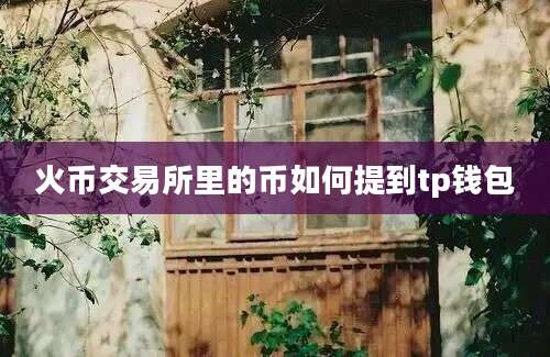 火币交易所里的币如何提到tp钱包