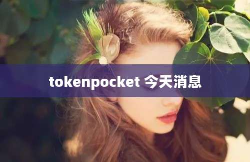 tokenpocket 今天消息