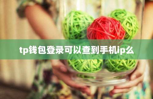 tp钱包登录可以查到手机ip么