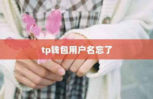 tp钱包用户名忘了