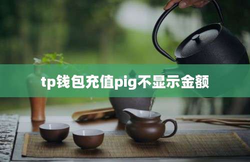 tp钱包充值pig不显示金额
