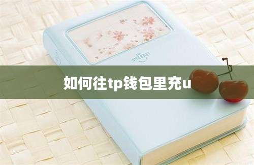 如何往tp钱包里充u